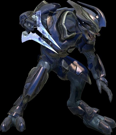 awesome halo sangheili pictures